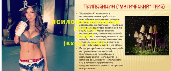 винт Абаза