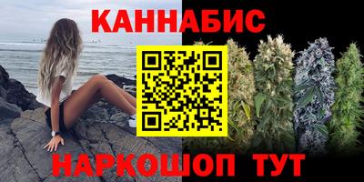 сатива Сланцы