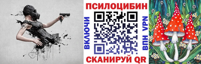 как найти   Хабаровск  Галлюциногенные грибы Cubensis 