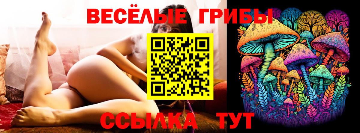 Галлюциногенные грибы Magic Shrooms  Вход с VPN  Хабаровск  Галлюциногенные грибы прущие грибы 