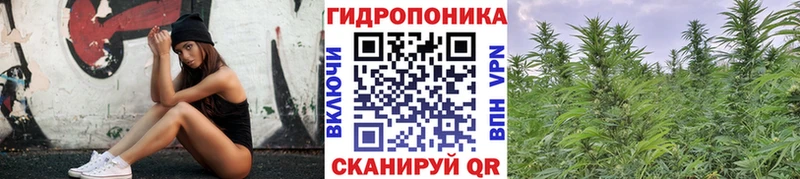 гидра tor  наркота  Хабаровск  Шишки марихуана MAZAR 